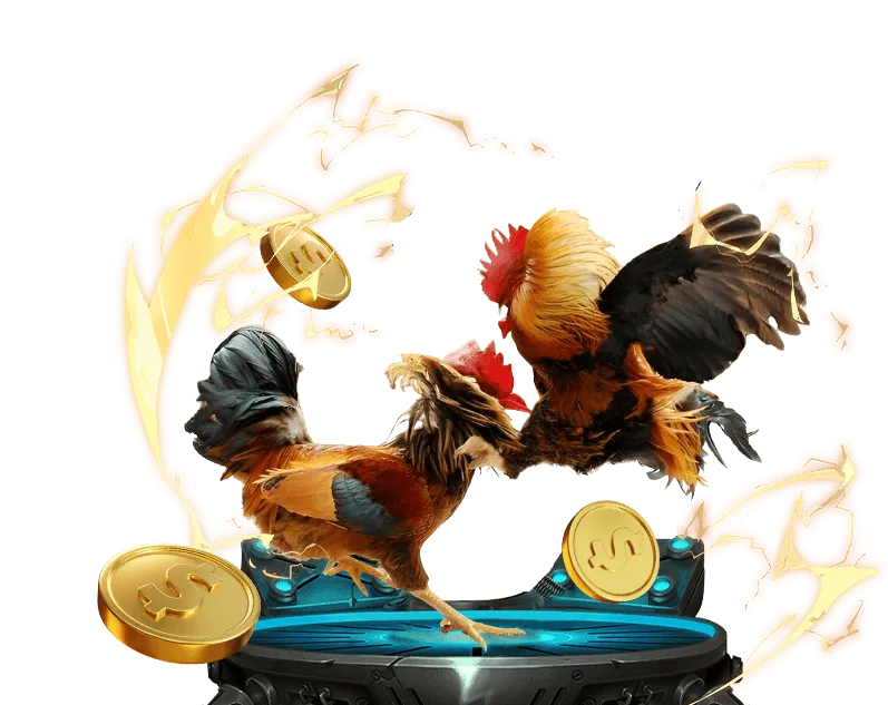 Xu hướng cá cược đá gà trực tuyến